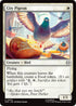 City Pigeon