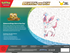Pokémon - 30th Celebration - Sylveon Ex Collection Box
