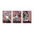 *Pre-Order* One Piece - Special Set - English 3rd Anniversary Set